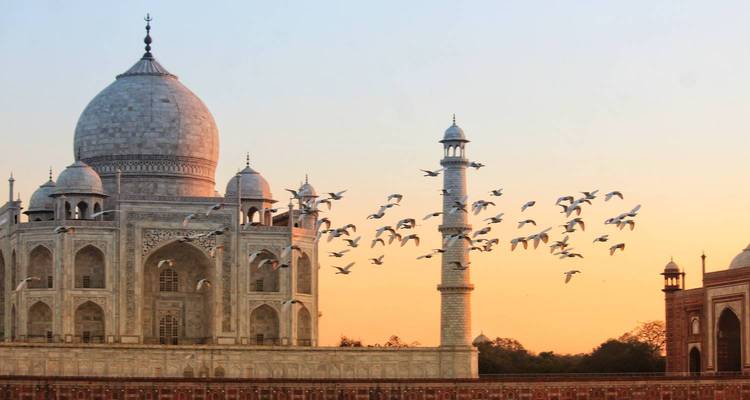 Le cœur de l'Inde (5 destinations) - Taj tour trips 4