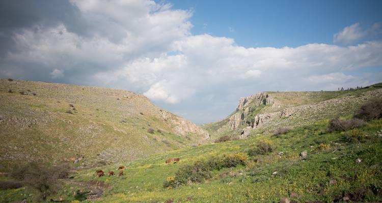 El Camino de Jesús en una excursión económica de 5 días desde Nazaret al Mar de Galilea - Abraham Tours 6