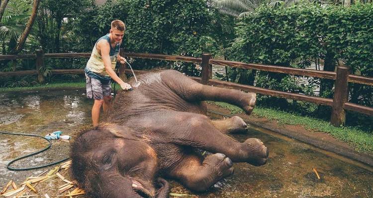 Bali Unforgettable Family Fun Adventure Tour - privé et tout compris - ForeverVacation 6