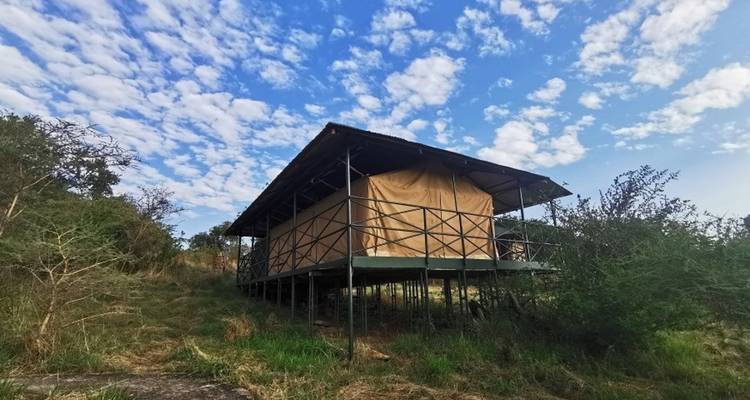 Elephant Package with Charity Support - 06 Days Safari - Zara Tours (Zara Tanzania Adventures) 7