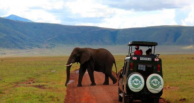 Elephant Package with Charity Support - 06 Days Safari - Zara Tours (Zara Tanzania Adventures) 9