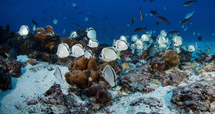5 Days Adventure Trip in Galapagos - Responsible Travel South America 2