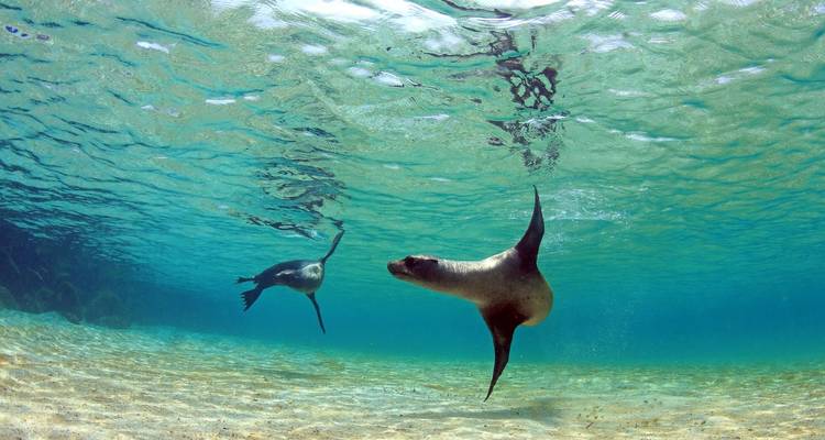 5 Days Adventure Trip in Galapagos - Responsible Travel South America 3