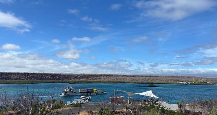 Petite jetée et bateaux dans une baie turquoise éclatante bordée par un terrain volcanique peu élevé