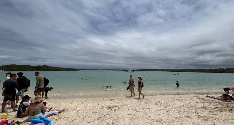 Des visiteurs se baignent et se détendent sur une plage au sable clair avec une eau calme et pâle sous un ciel nuageux