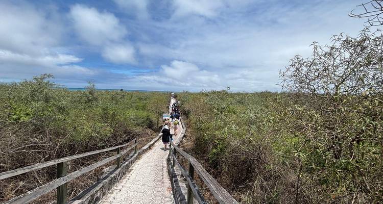 Passerelle surélevée en bois traversant la broussaille côtière en direction de l'océan avec des touristes qui marchent