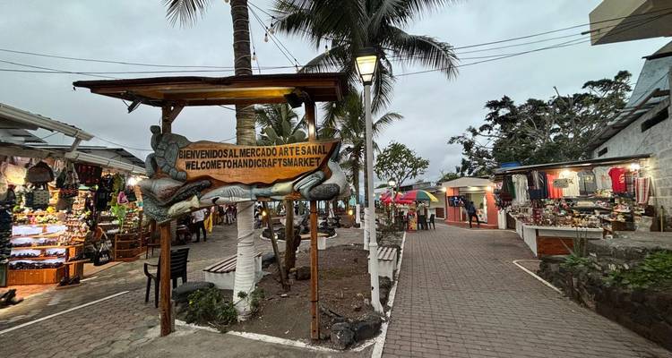 Panneau d'entrée du marché artisanal en soirée avec des étals et des palmiers sous un ciel nuageux
