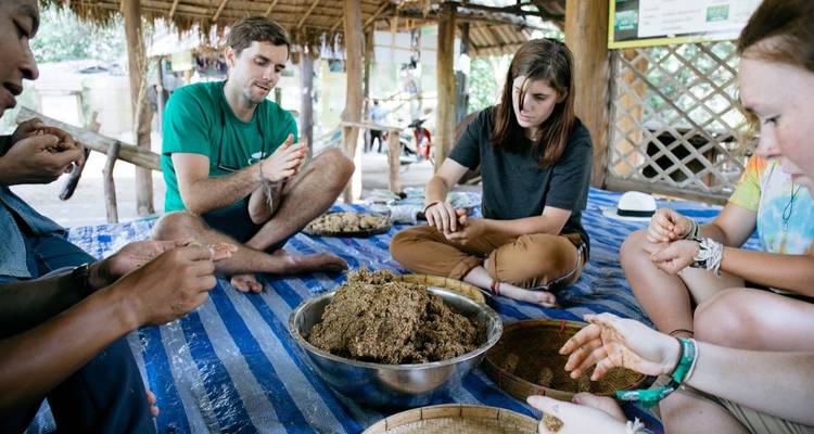 Thailand Elephant Experience: Animal Welfare, Conservation & Jungle Trekking - GIVE Volunteers 9
