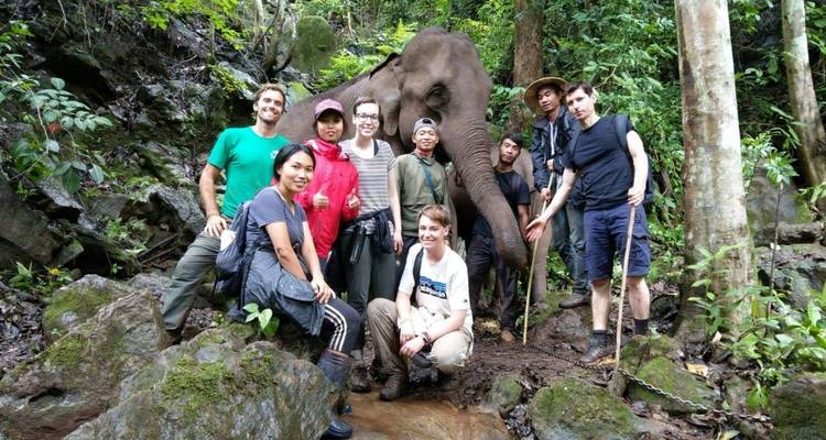 Thailand Elephant Experience: Animal Welfare, Conservation & Jungle Trekking - GIVE Volunteers 10