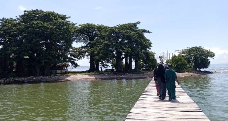 Culture, histoire et nature du Sénégal 15 jours/ 14 nuits. - Across Africa Tours & Travel 3