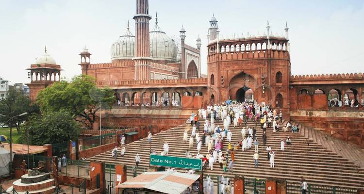 Circuito a la India para principiantes - norte de la India - 12 días - TTI TOURS 3