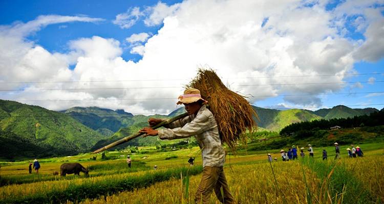 Pu Luong Trekking Village Life - Old Quarter Travel 4