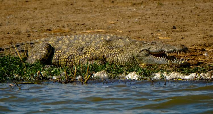 Serengeti, Masai Mara, Cráter y Zanzíbar 12 días/13 noches - Across Africa Tours & Travel 3