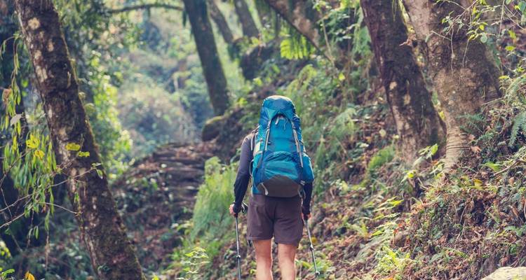 Wandelaar met een rugzak die over een bospad loopt.