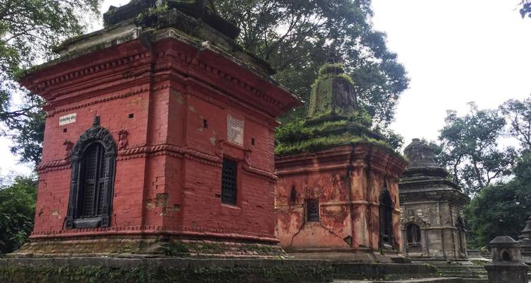Oude bakstenen en stenen tempels bedekt met mos.