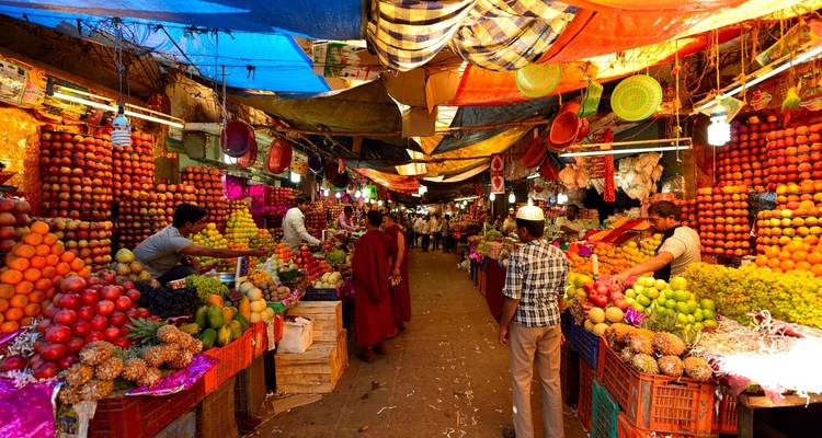 India Tour For First Timers - South India [13 Days] - TTI TOURS 2