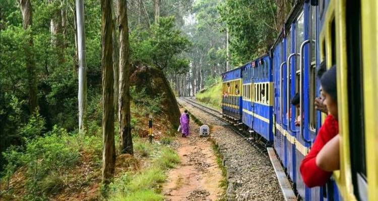 India Tour For First Timers - South India [13 Days] - TTI TOURS 3