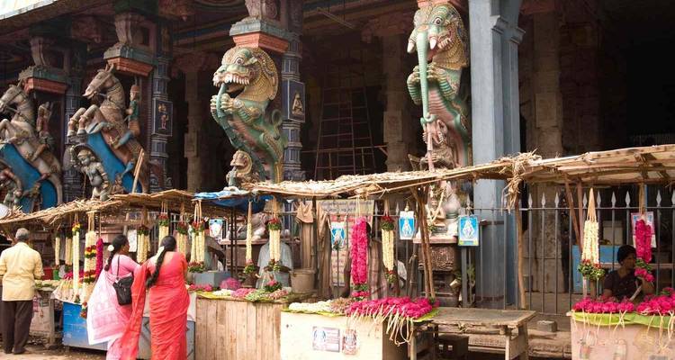 India Tour For First Timers - South India [13 Days] - TTI TOURS 6