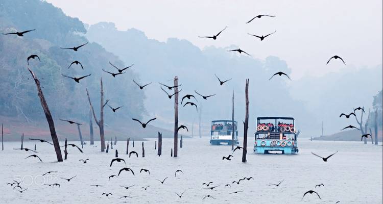 India Tour For First Timers - South India [13 Days] - TTI TOURS 9