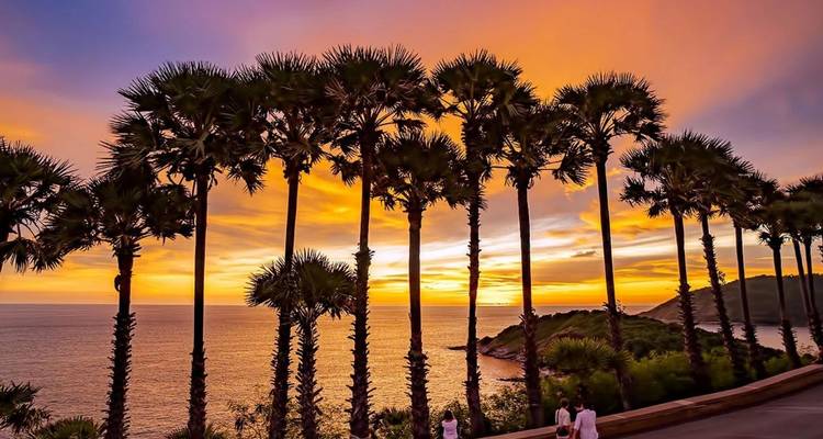 Palmbomen bij zonsondergang met levendige lucht en uitzicht op de oceaan.