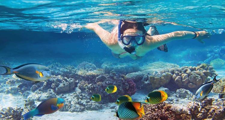 Phuket 3 días de Emocionante experiencia de aventura y vida salvaje - privado y todo incluido - ForeverVacation 3