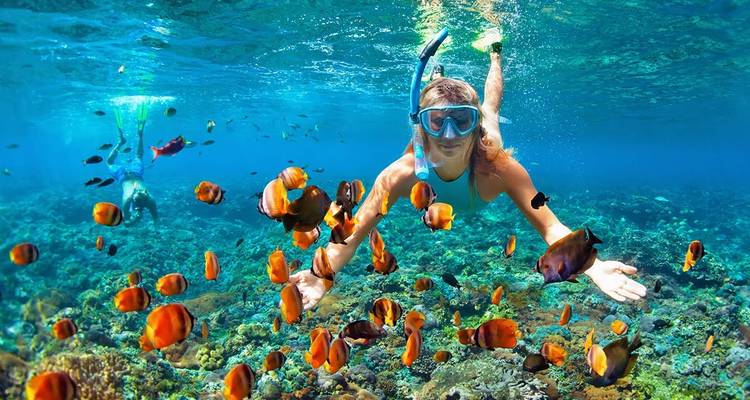 Phuket 3 días de Emocionante experiencia de aventura y vida salvaje - privado y todo incluido - ForeverVacation 9
