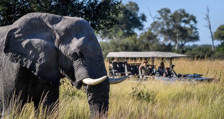 From Kasane (Botswana):  Guided day trip to Victoria Falls on the Zambian side - Lochinvar Safaris 10