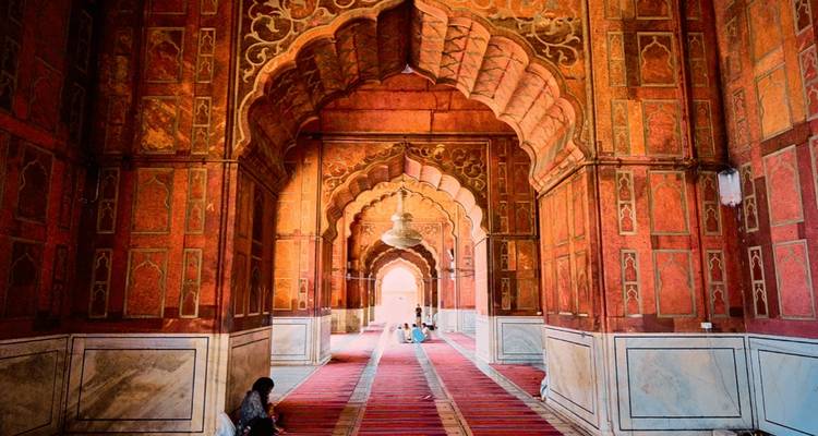 Circuito a la India para principiantes en 24 días - norte y sur de la India - TTI TOURS 3