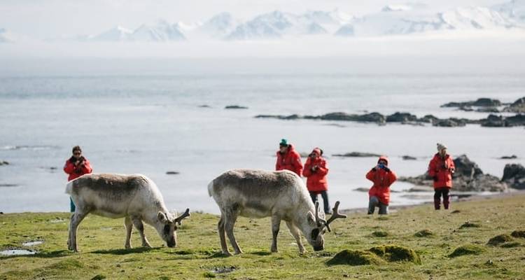 Le Svalbard à travers l'objectif de la caméra - Poseidon Expeditions 4