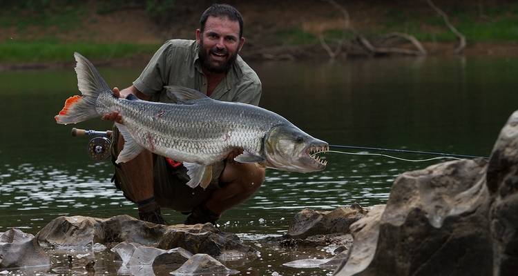 7 jours - Excursion guidée de pêche au tigre dans la région de Mambova - Lochinvar Safaris 4