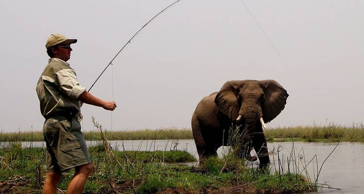 7 jours - Excursion guidée de pêche au tigre dans la région de Mambova - Lochinvar Safaris 2