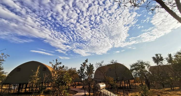 Safari de Aventura Clásico de Guepardos en Tanzania **Viaje con enfoque sostenible - World Adventure Tours 9