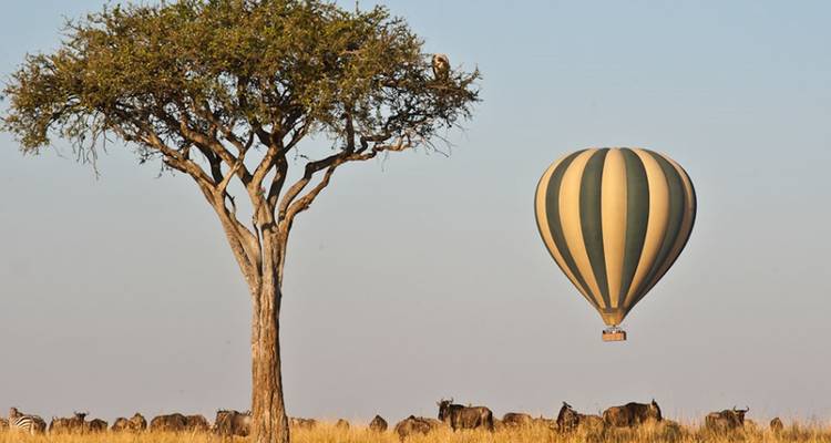 Safari de luxe au Kenya - 7 jours - Africa Venture Safaris 2