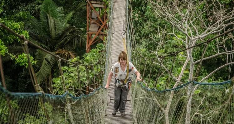 Een gekleurde wandelaar klimt via een smalle luifelBrug omhoog boven dicht jungle-gebladerte.
