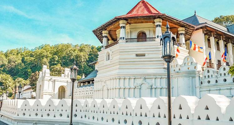 Le meilleur du Sri Lanka (Circuit de 08 Jours et 07 Nuits) - Explore Vacations PVT Ltd 6