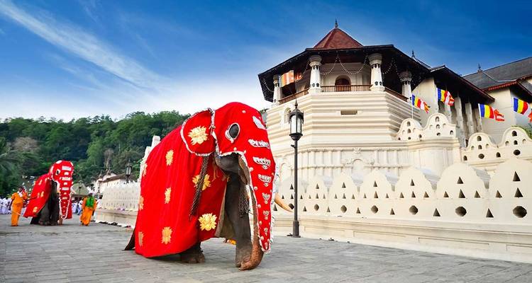 Le meilleur du Sri Lanka (Circuit de 08 Jours et 07 Nuits) - Explore Vacations PVT Ltd 7