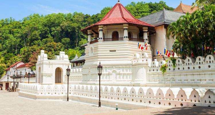 Le meilleur du Sri Lanka (Circuit de 08 Jours et 07 Nuits) - Explore Vacations PVT Ltd 8