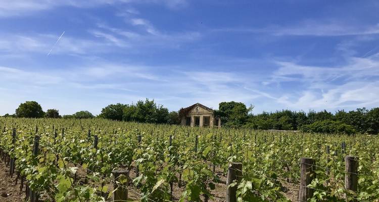Un crucero por Aquitania: los grandes vinos del Sur de Francia (crucero puerto a puerto) (14 destinos) - CroisiEurope River Cruises 6