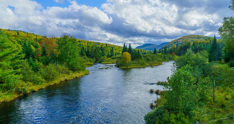 Une rivière serpente à travers un paysage luxuriant et boisé sous un ciel partiellement nuageux.