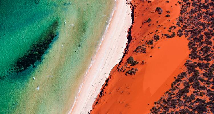 Perth & Monkey Mia 10 Days All-Inclusive Wild Natural Touring  Packages - Delightful Travel 1