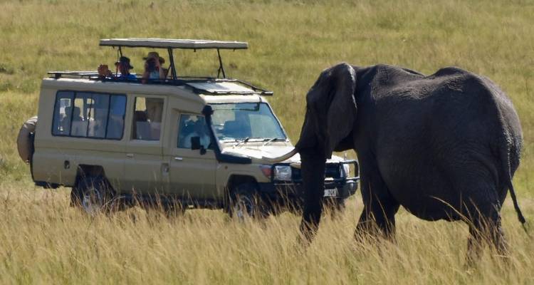 7 días - safari de la migración del Serengeti (Experiencia inolvidable) - Professional Safari Africa 4