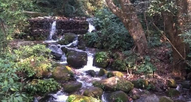 Pequeña cascada que cae en cascada sobre rocas en un bosque.