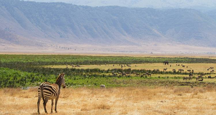 El Gran Overlander - 43 días - On The Go Tours 7