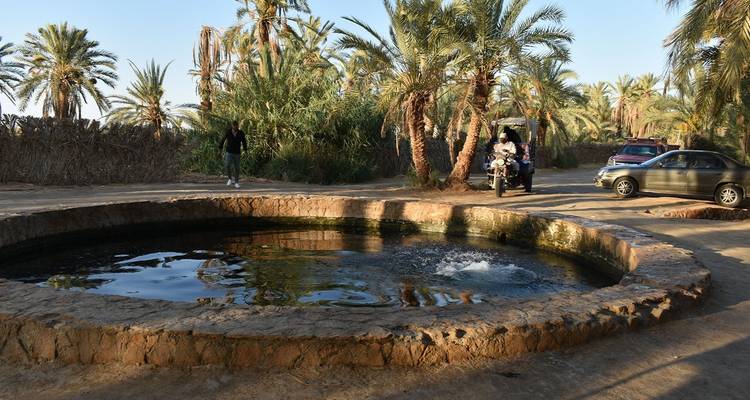 Alexander the Great Footprints in Egypt - Egypt Tours Club 9
