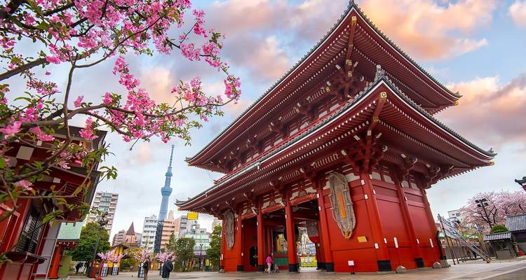 【Japan】12 Days Japan Grand Luxury Tour Package - Delightful Travel 2