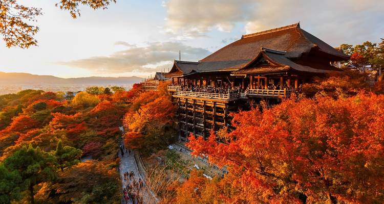 【Japan】12 Days Japan Grand Luxury Tour Package - Delightful Travel 8
