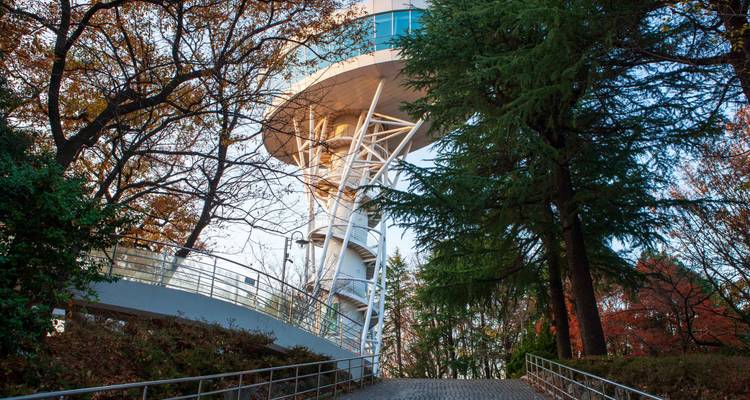 2025 Discover Western Korea in 4 Days, Including Gwangju: A Curated All-Inclusive Experience - HanaTour ITC 3