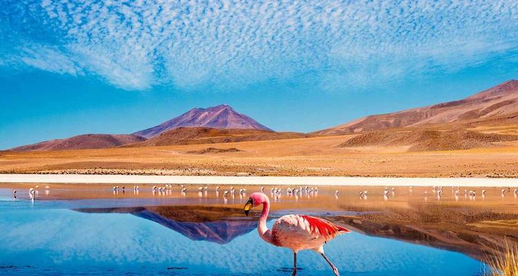 Road-Trip en famille au Chili, 16 jours d'aventure : Santiago, Atacama et la région des lacs - Responsible Travel South America 2