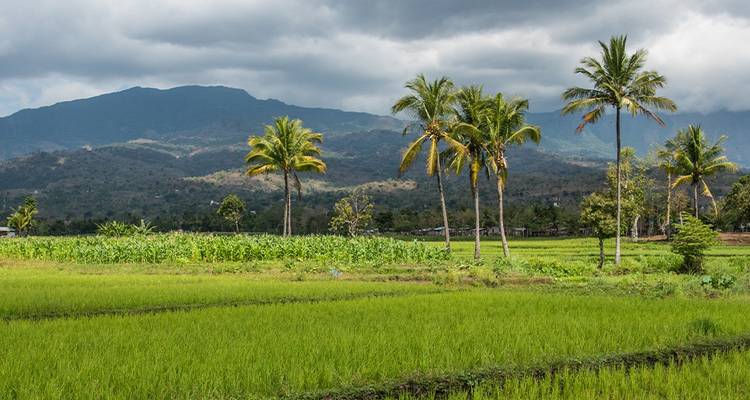 Expédition au Timor- Oriental - Intrepid Travel 3
