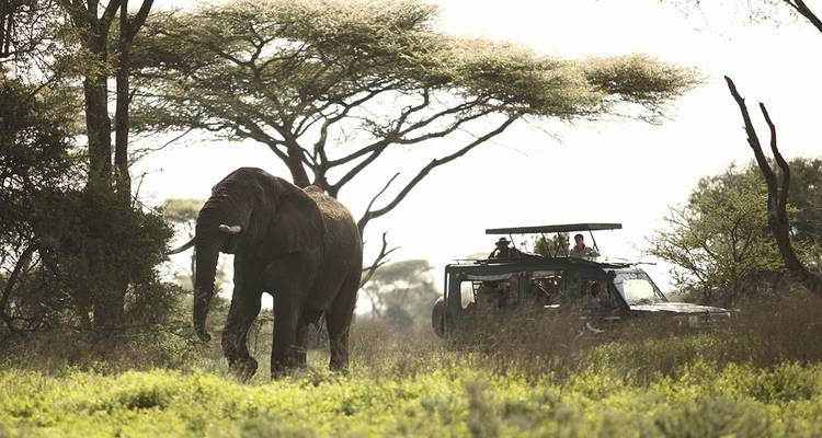 8 jours de visites au Botswana et aux chutes Victoria - Little Roz Tours 2